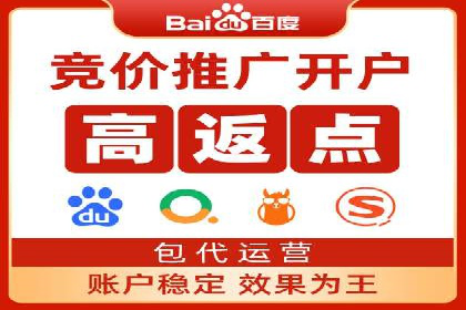 SEM推广技巧：成功案例深度剖析